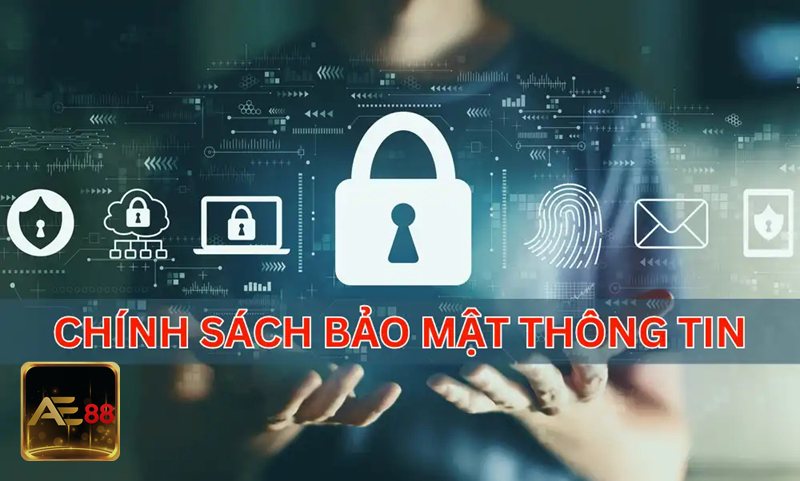 Chính Sách Bảo Mật - Những nhóm thông tin được nền tảng tiếp nhận
